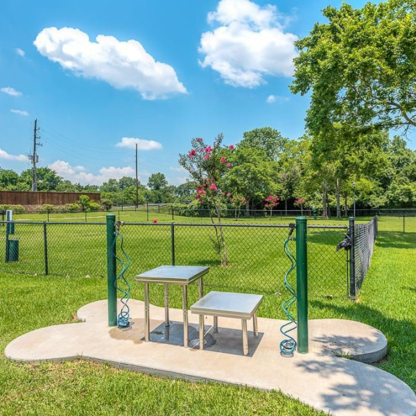 Dog Park