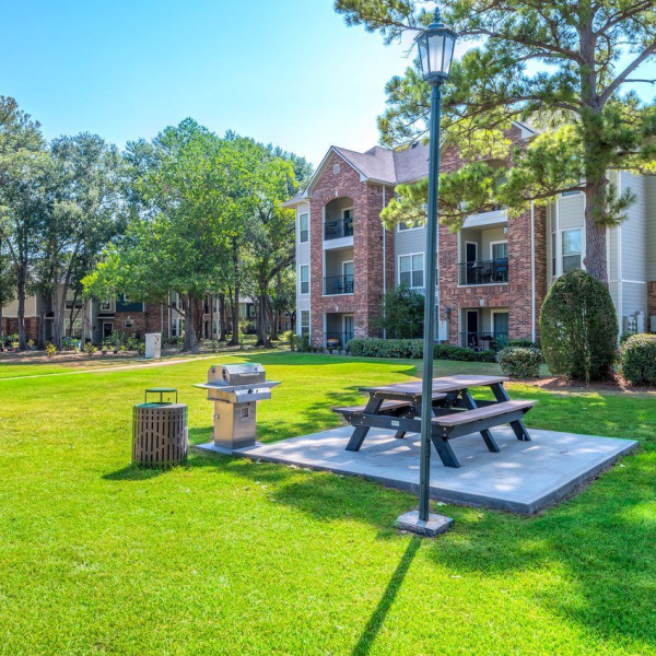 Picnic Area